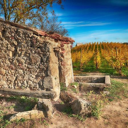 Condrieu Comme A La Maison Εξωτερικό φωτογραφία
