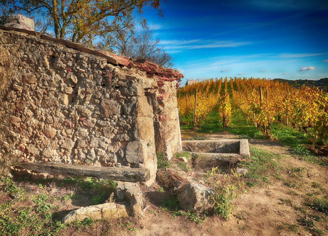 Condrieu Comme A La Maison Εξωτερικό φωτογραφία